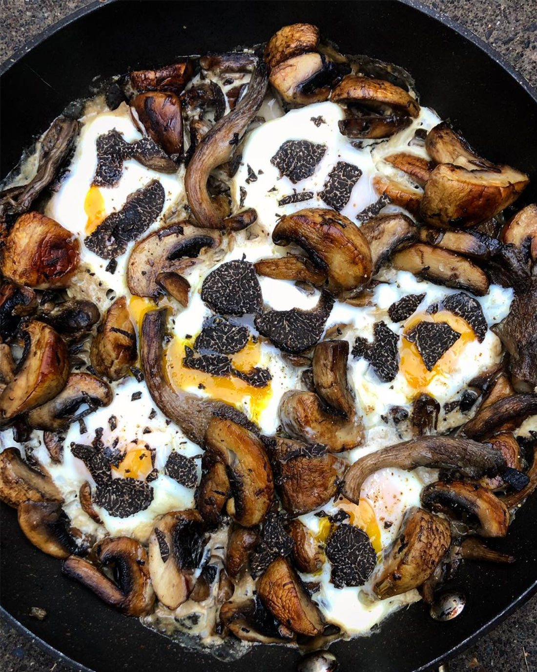 Paila de huevos con callampas y Trufa Negra