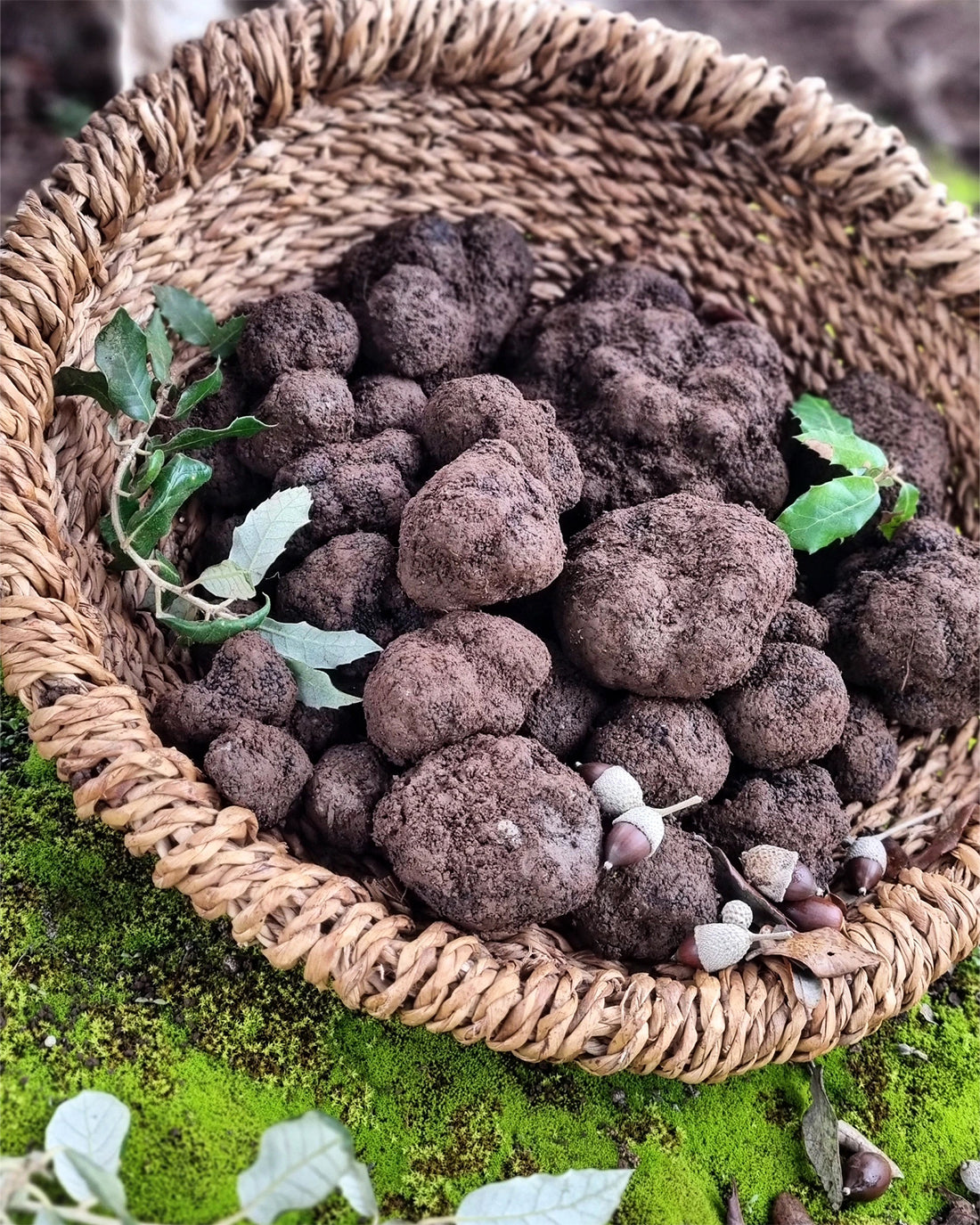 La Trufa, un tesoro gastronómico