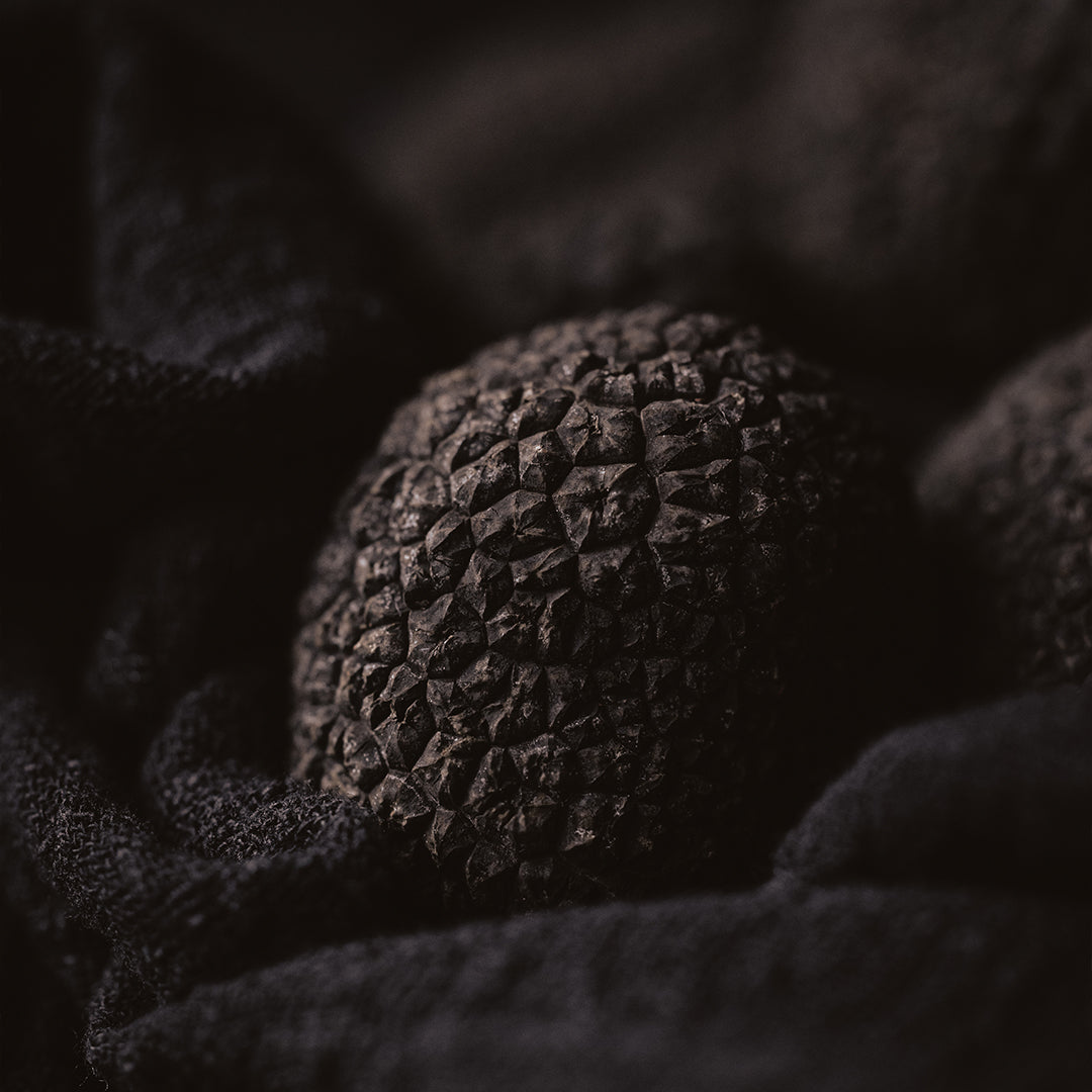 TRUFA NEGRA