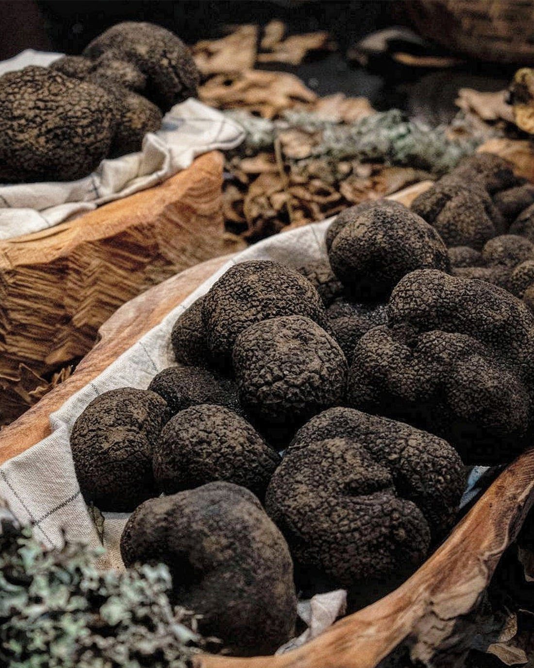 Propiedades de la Trufa Negra